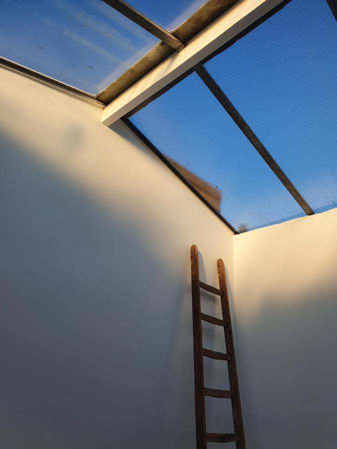 Bed Zonder Breakfast Lägenhet Amsterdam Exteriör bild